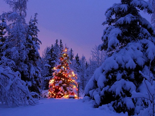 Immagini Natale Con Neve.Buon Natale Ma Non Solo